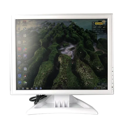 Moniteur médical LCD blanc Moniteur d'appareil HD intégré de 17 pouces